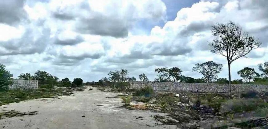 Solares en Punta Cana